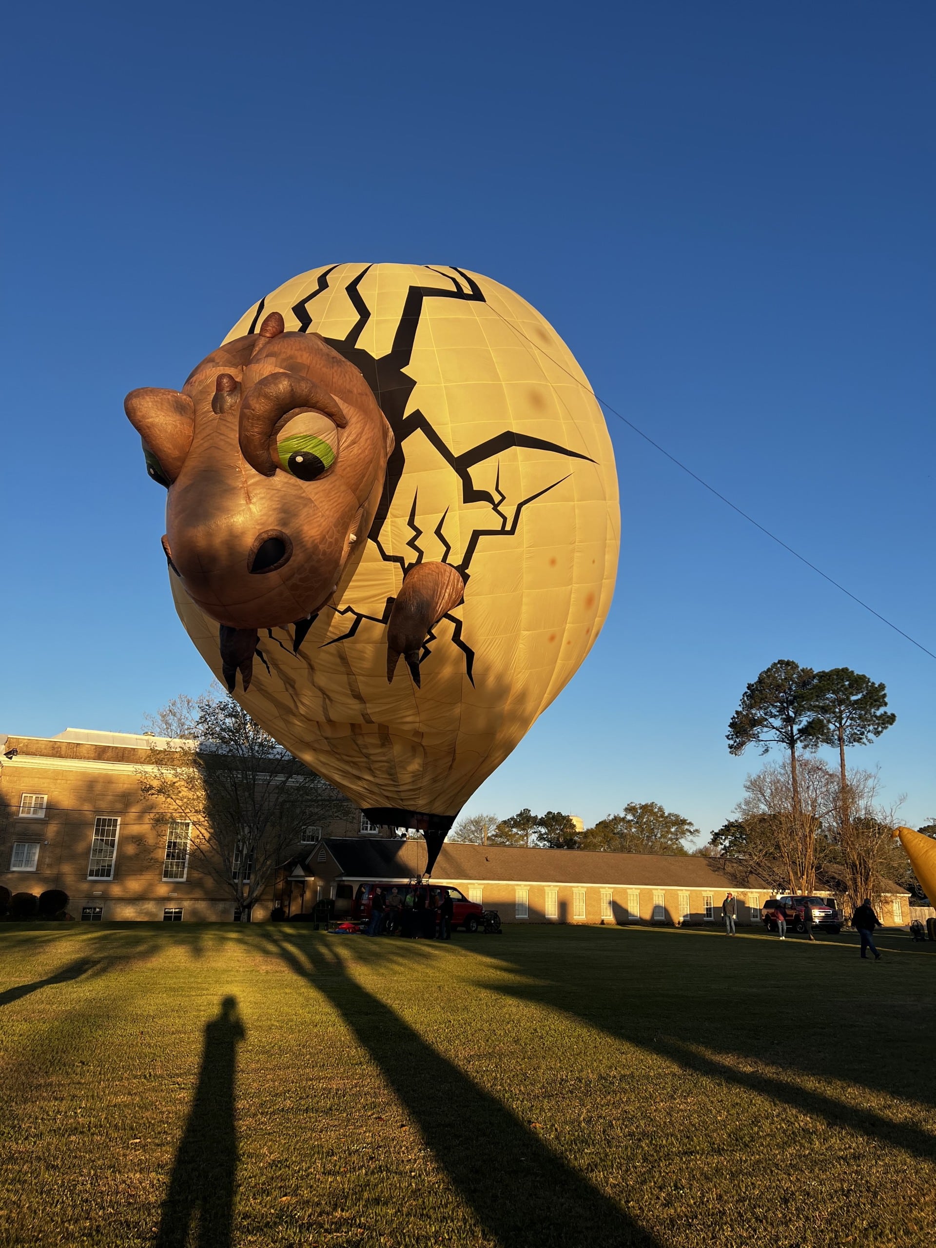 Downtown balloons – Courier Herald Today